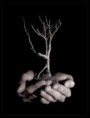 /album/fotogaleria-/images-8-jpg/